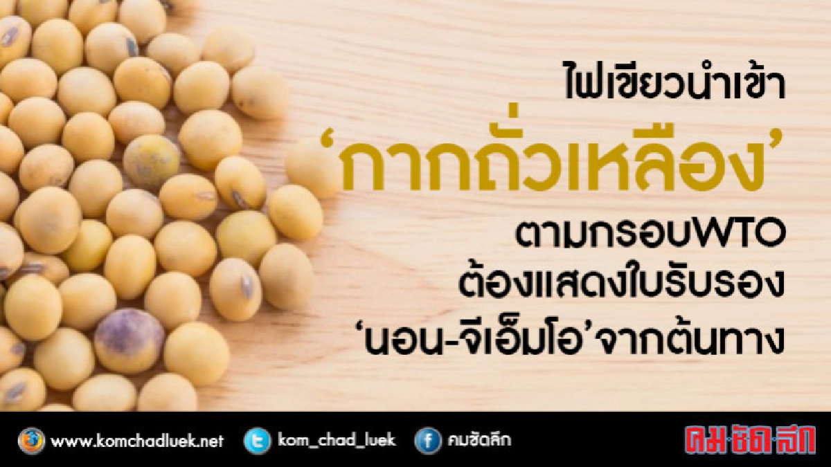 ไฟเขียวนำเข้า "กากถั่วเหลือง" ตามกรอบ WTO ไฟเขียวนำเข้า "กากถั่วเหลือง" ตามกรอบ WTO