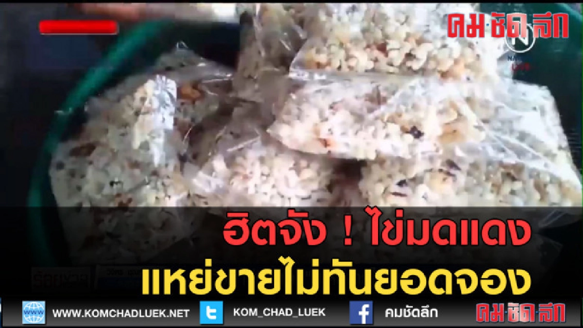 (คลิปข่าว) ฮิตจัง ! ไข่มดแดง แหย่ขายไม่ทันยอดจอง (คลิปข่าว) ฮิตจัง ! ไข่มดแดง แหย่ขายไม่ทันยอดจอง