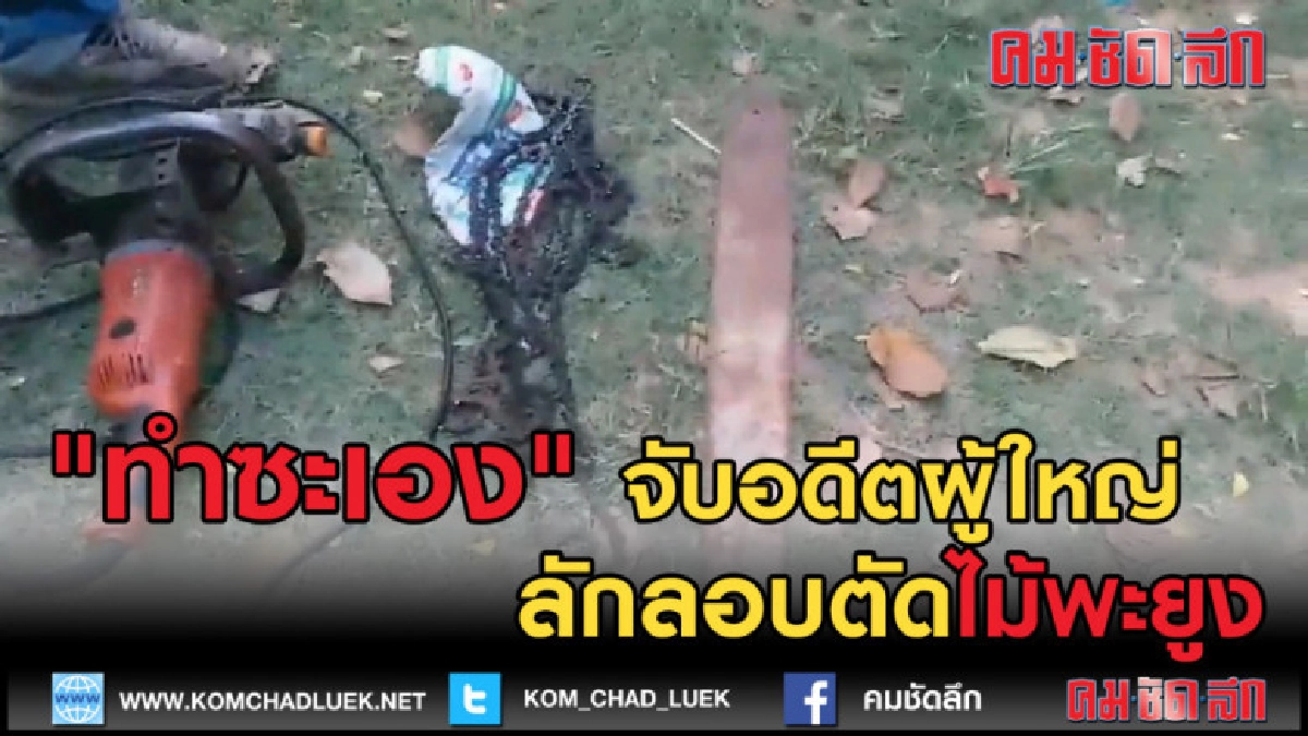 (คลิปข่าว) "ทำซะเอง" จับอดีตผู้ใหญ่บ้านลักลอบตัดไม้พยูง (คลิปข่าว) "ทำซะเอง" จับอดีตผู้ใหญ่บ้านลักลอบตัดไม้พยูง