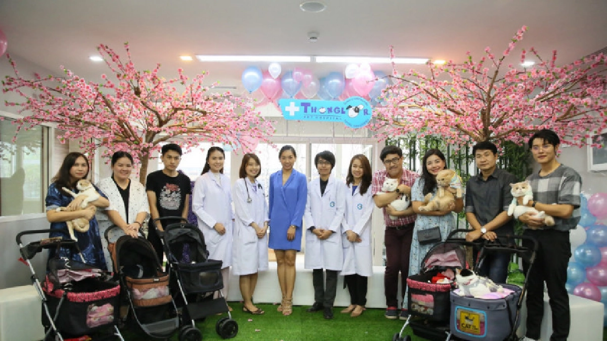 รพ.สัตว์ทองหล่อ เปิด "คลินิกแมว" เอาใจคนรักแมว