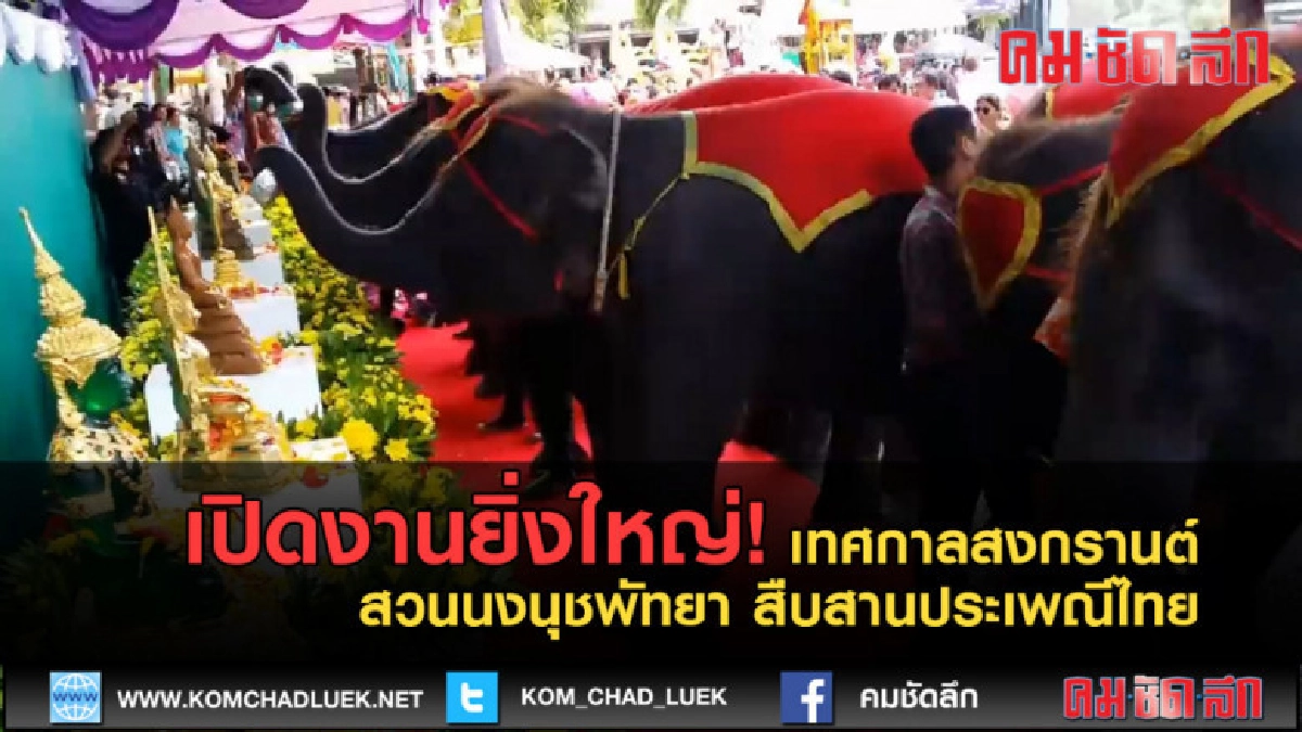 (คลิปข่าว) เปิดงานยิ่งใหญ่!เทศกาลสงกรานต์สวนนงนุชพัทยา