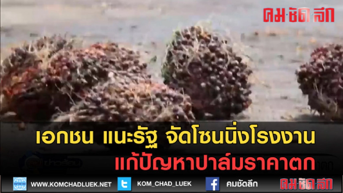 (คลิปข่าว) เอกชน แนะรัฐ จัดโซนนิ่งโรงงานแก้ปัญหาปาล์มราคาตก (คลิปข่าว) เอกชน แนะรัฐ จัดโซนนิ่งโรงงานแก้ปัญหาปาล์มราคาตก