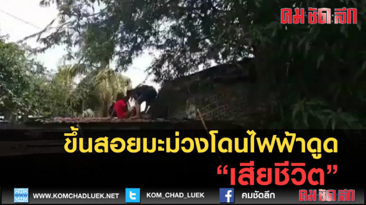 (คลิปข่าว) หนุ่มดวงซวยขึ้นสอยมะม่วงโดนไฟดูด ดับ! (คลิปข่าว) หนุ่มดวงซวยขึ้นสอยมะม่วงโดนไฟดูด ดับ!