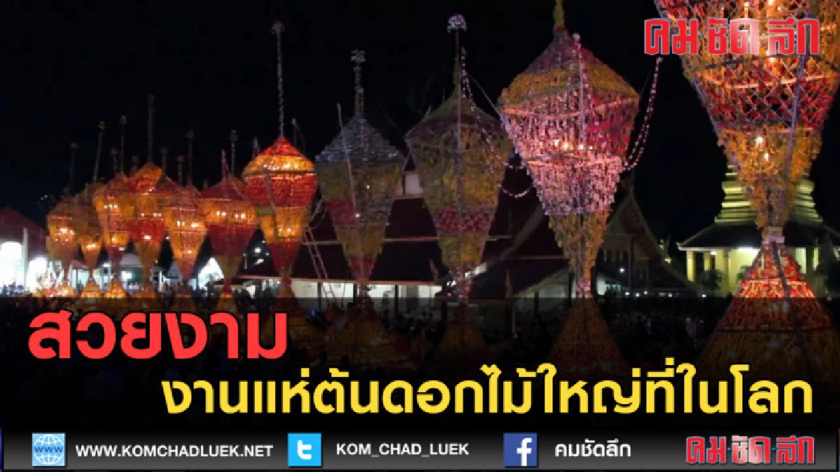 (คลิปข่าว) งานแห่ต้นดอกไม้ใหญ่ที่ในโลก