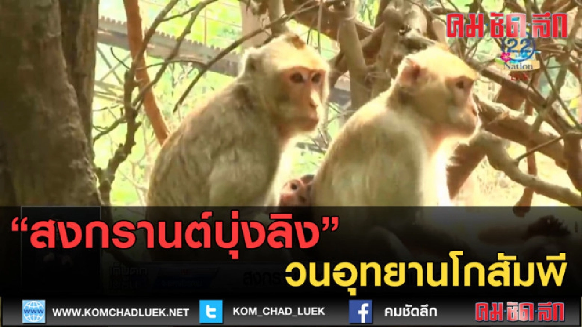 (คลิปข่าว) สงกรานต์บุ่งลิง วนอุทยานโกสัมพี