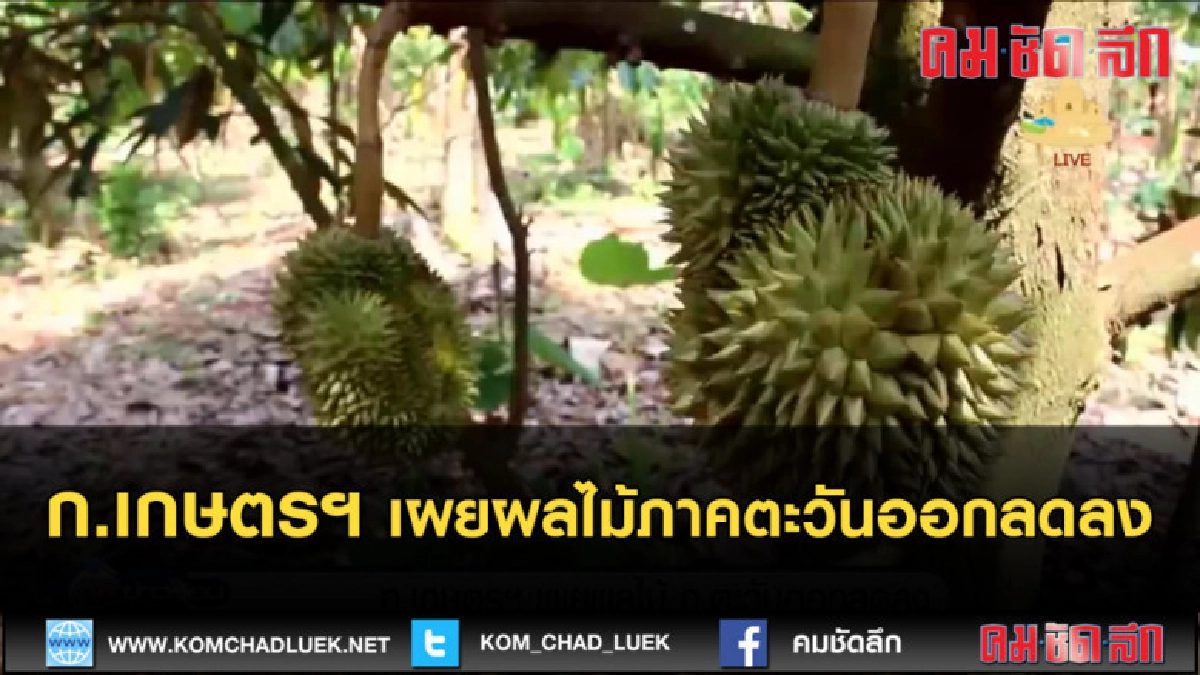 (คลิปข่าว) ก.เกษตรฯ เผยผลไม้ภาคตะวันออกลดลง (คลิปข่าว) ก.เกษตรฯ เผยผลไม้ภาคตะวันออกลดลง