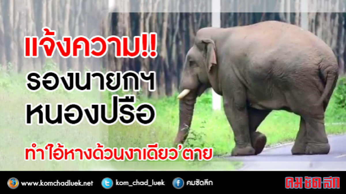 แจ้งความรองนายกฯ หนองปรือ ทำ "ไอ้หางด้วน งาเดียว" ตาย