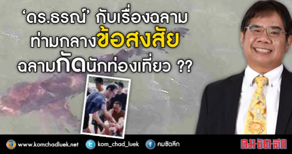 'ดร.ธรณ์'ชี้'ฉลาม'อยู่ในบ้านเขา-ไม่ตั้งใจทำร้ายใคร