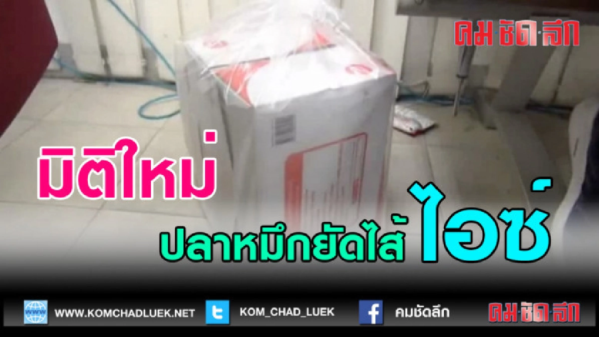 (คลิปข่าว)ยึดปลาหมึกตากแห้งยัดไอซ์ สมุทรปราการ