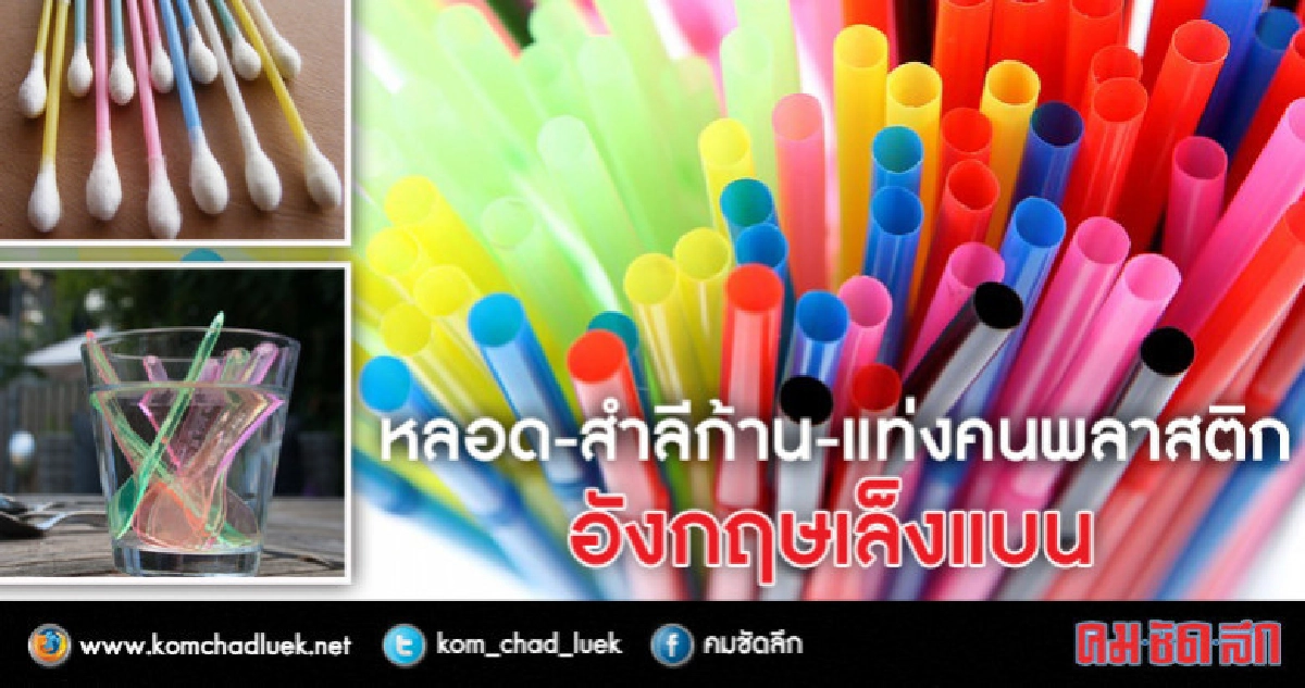 อังกฤษจ่อแบนหลอดพลาสติก-สำลีก้าน