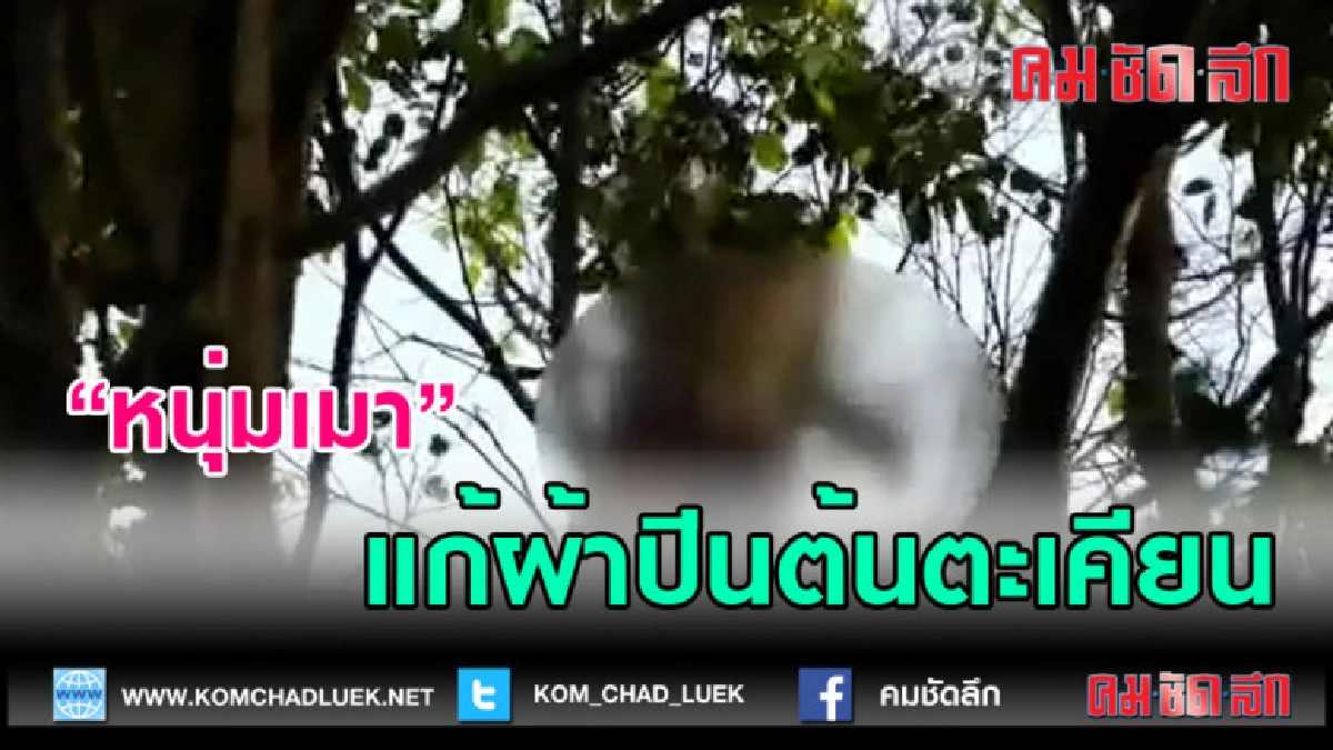 (คลิปข่าว)หนุ่มเมาเพี้ยนแก้ผ้าปีนต้นตะเคียน