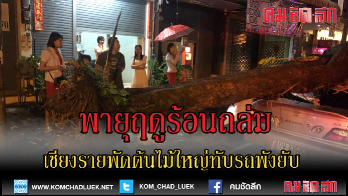 คลิปข่าวพายุฤดูร้อนพัดต้นไม้ใหญ่ทับรถเก๋งพังยับ คลิปข่าวพายุฤดูร้อนพัดต้นไม้ใหญ่ทับรถเก๋งพังยับ