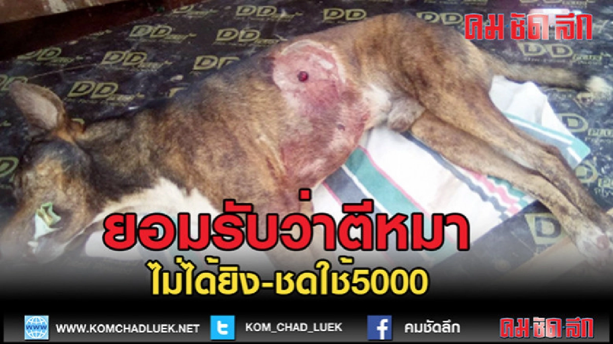 (คลิปข่าว)เสี่ยเต้นท์รถปัดยิงเจ้าอานตายแค่ตียอมชดใช้ 5 พัน (คลิปข่าว)เสี่ยเต้นท์รถปัดยิงเจ้าอานตายแค่ตียอมชดใช้ 5 พัน