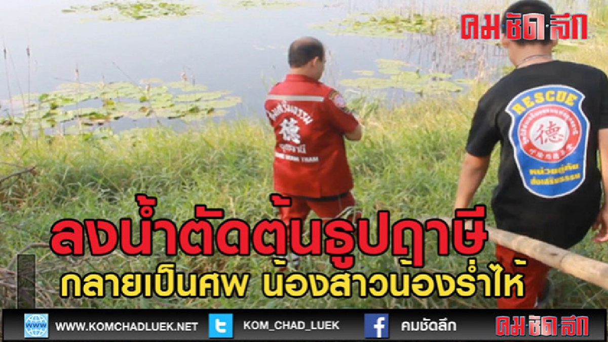 (คลิปข่าว)ลงน้ำตัดต้นธูปฤาษีจมน้ำดับ