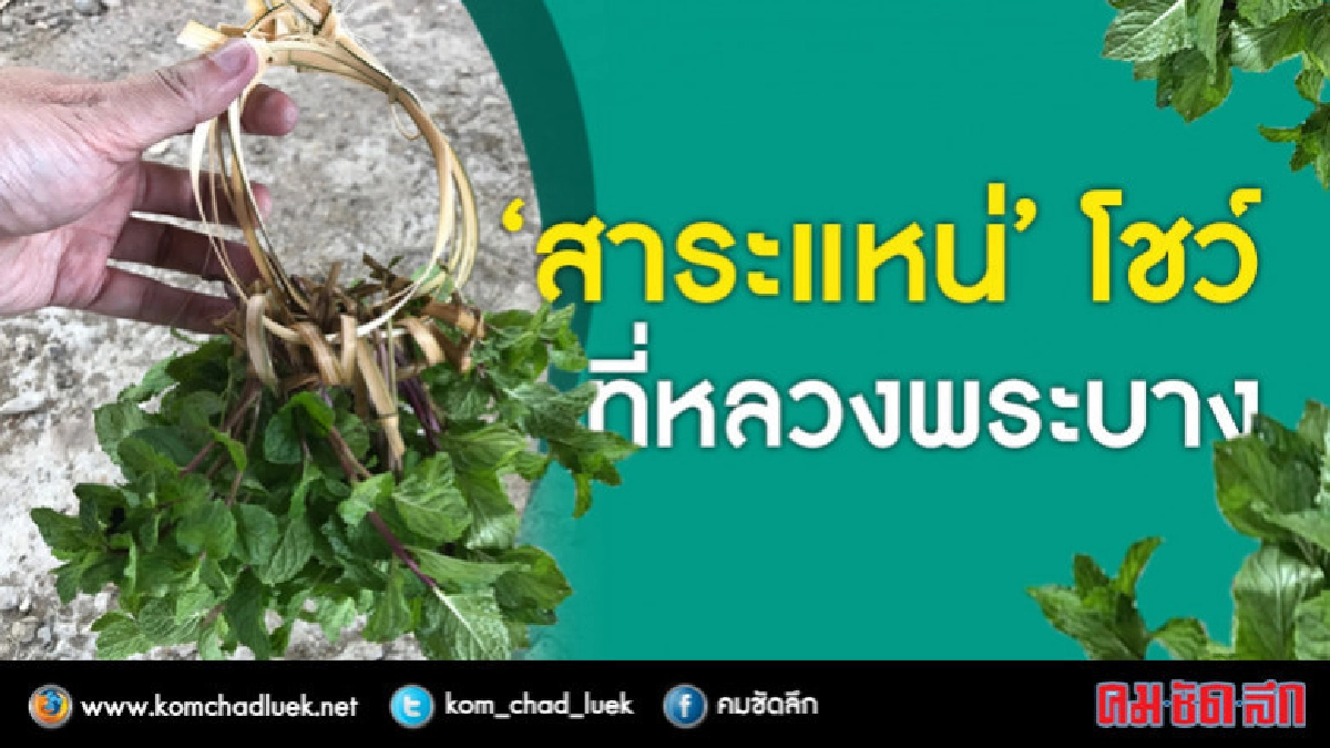 ภาคเกษตรไทยได้อะไรจากกลุ่ม"ซีแอลเอ็มวี"ตอน14 ภาคเกษตรไทยได้อะไรจากกลุ่ม"ซีแอลเอ็มวี"ตอน14