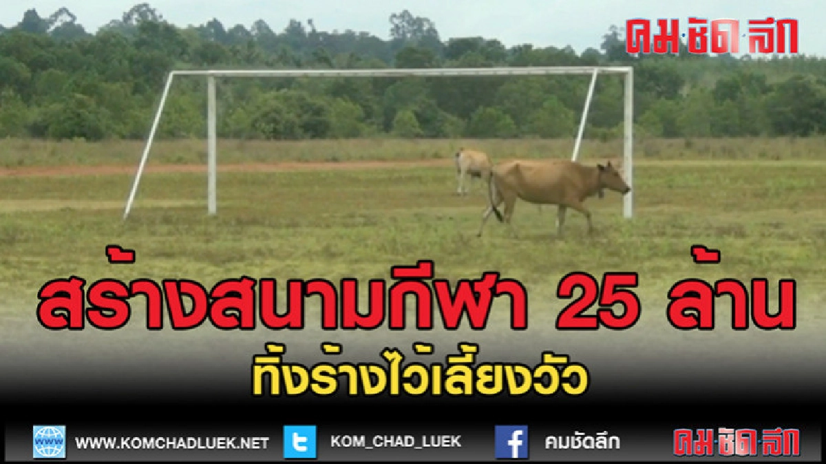 (คลิปข่าว)สร้างสนามกีฬางบ 25 ล้าน ทิ้งร้างไว้เลี้ยงวัว