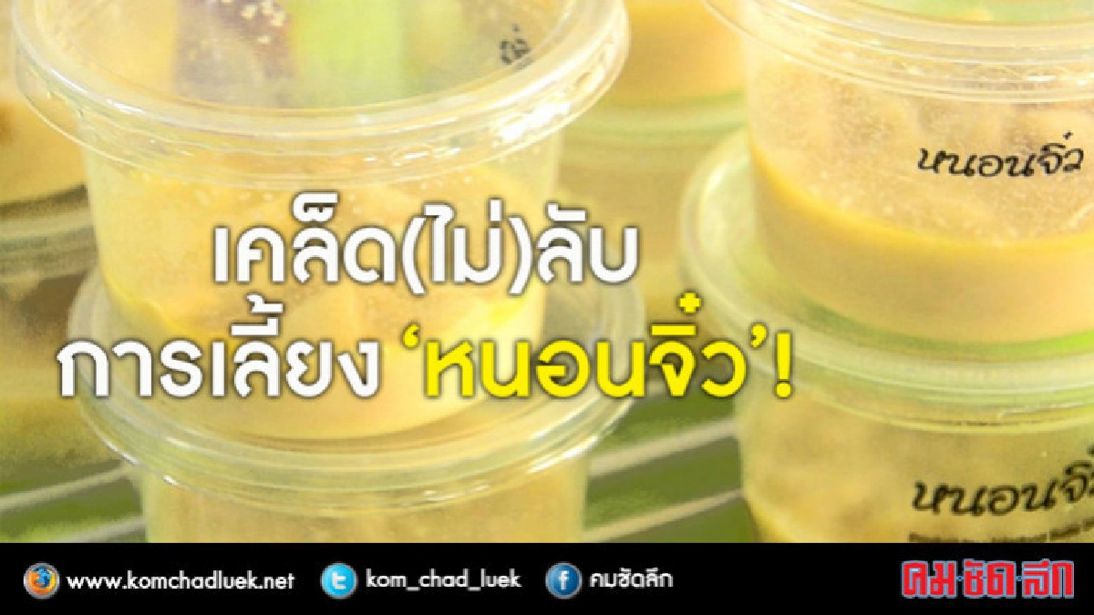 เคล็ด(ไม่)ลับการเลี้ยง"หนอนจิ๋ว"อาหารชั้นยอดลูกปลาวัยอ่อน