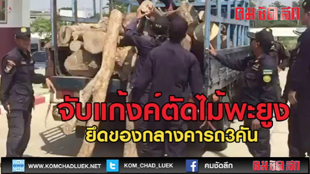 (คลิปข่าว)บุกปิดล้อมขบวนการตัดไม้พยุง (คลิปข่าว)บุกปิดล้อมขบวนการตัดไม้พยุง