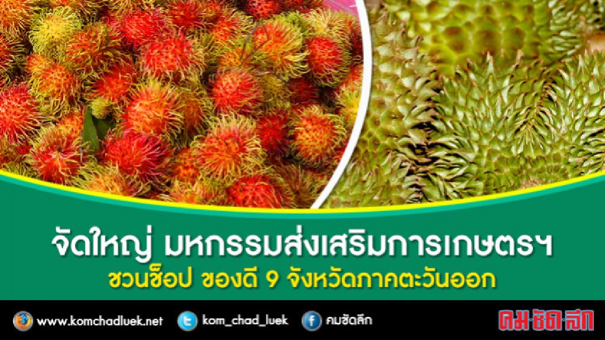 จัดใหญ่มหกรรมส่งเสริมการเกษตรฯ ภาคตะวันออก จัดใหญ่มหกรรมส่งเสริมการเกษตรฯ ภาคตะวันออก