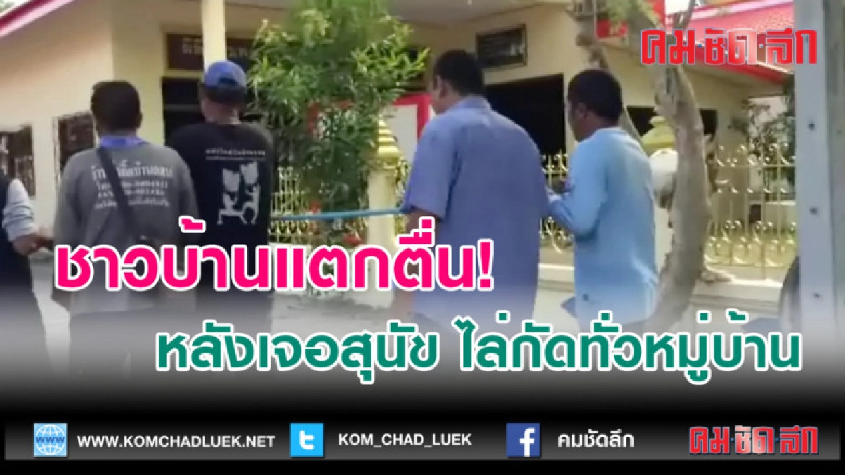 (คลิปข่าว) ชาวบ้านแตกตื่น หลังเจอสุนัข ไล่กัดทั่วหมู่บ้าน