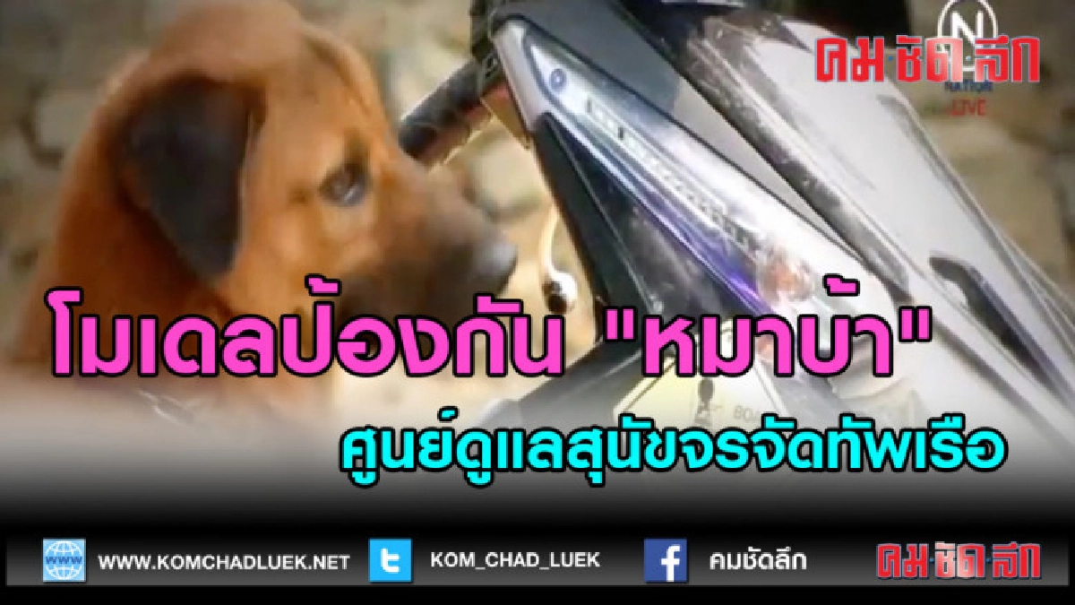 (คลิปข่าว)โมเดลป้องกัน "หมาบ้า"ศูนย์ดูแลสุนัขจรจัดทัพเรือ