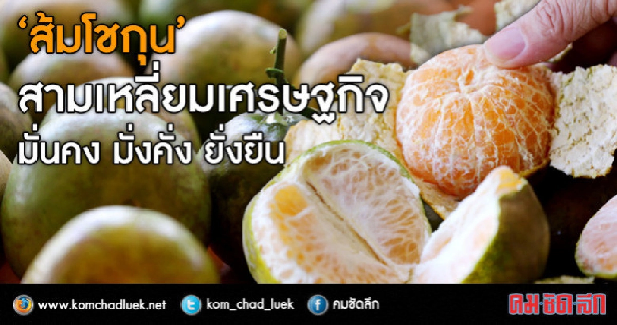 ชวนชิม!! ส้มโชกุนเบตง...มั่นคง มั่งคั่ง ยั่งยืน ชวนชิม!! ส้มโชกุนเบตง...มั่นคง มั่งคั่ง ยั่งยืน