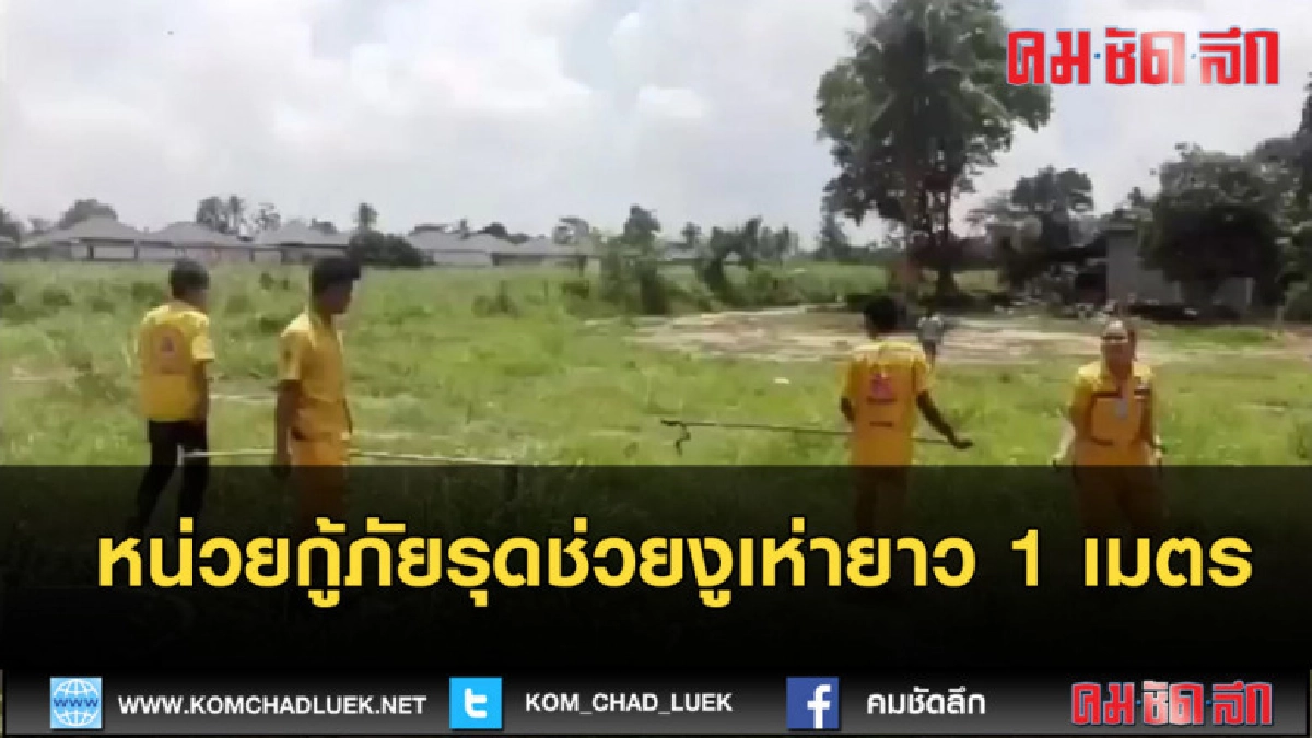 (คลิปข่าว) หน่วยกู้ภัยรุดช่วยงูเห่ายาว 1 เมตร (คลิปข่าว) หน่วยกู้ภัยรุดช่วยงูเห่ายาว 1 เมตร