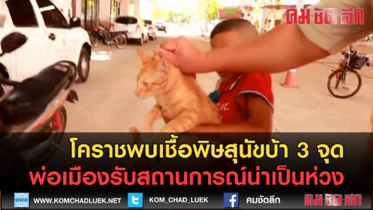 (คลิปข่าว) โคราชฉีดวัคซีนหลังพบเชื้อพิษสุนัขบ้า 3 จุด (คลิปข่าว) โคราชฉีดวัคซีนหลังพบเชื้อพิษสุนัขบ้า 3 จุด