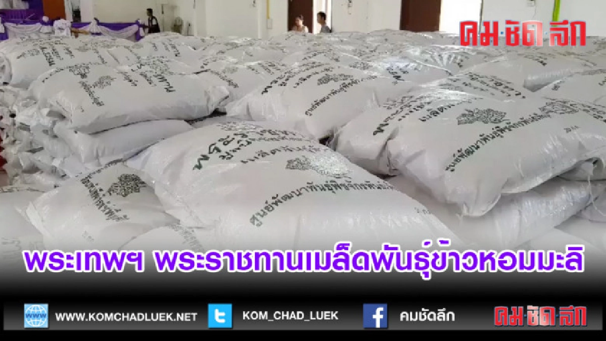 (คลิปข่าว)พระเทพฯ พระราชทานเมล็ดพันธุ์ข้าวหอมมะลิ (คลิปข่าว)พระเทพฯ พระราชทานเมล็ดพันธุ์ข้าวหอมมะลิ