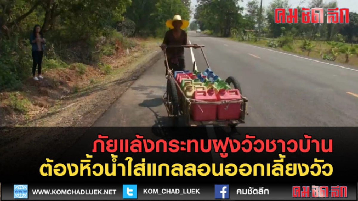 (คลิปข่าว) ชาวบ้านหิ้วน้ำใส่แกลลอนออกเลี้ยงวัว