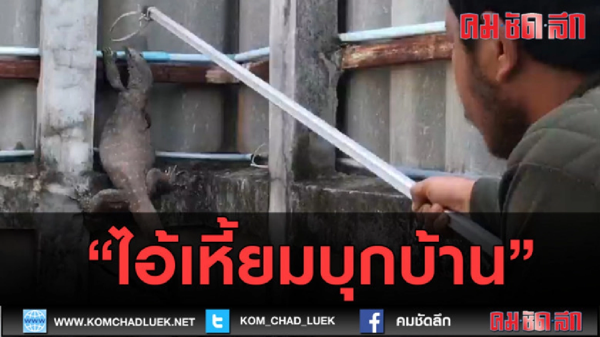 (คลิปข่าว) อุกอาจ "ไอ้เหี้ยมบุกบ้าน"