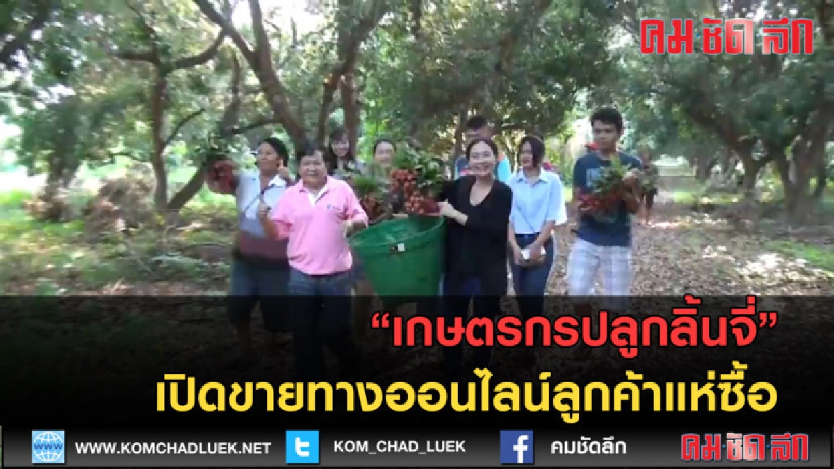(คลิปข่าว) เกษตรกรปลูกลิ้นจี่เปิดขายทางออนไลน์ลูกค้าเพียบ