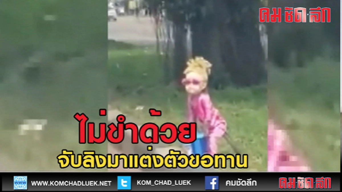 (คลิปข่าว)ไม่ขำดว้ยหรอกนะมันทรมาน (คลิปข่าว)ไม่ขำดว้ยหรอกนะมันทรมาน
