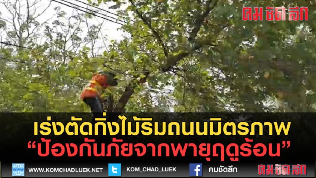 (คลิปข่าว) เร่งตัดกิ่งไม้ริมถนนมิตรภาพป้องกันภัยพายุฤดูร้อน