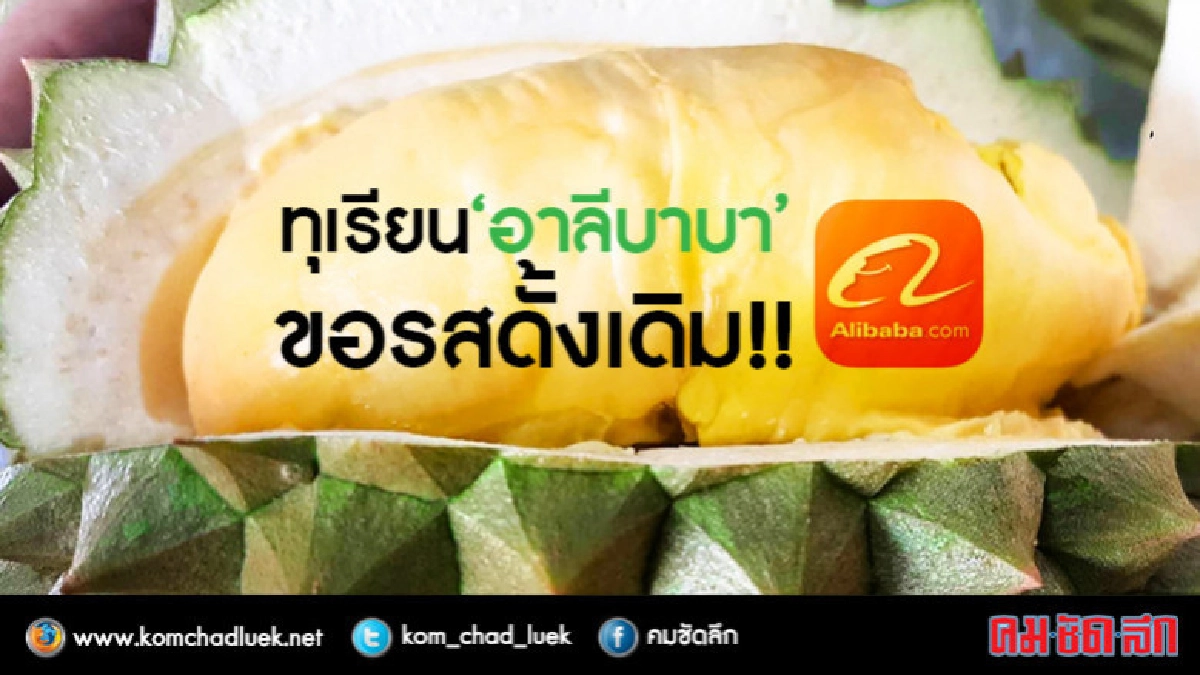 "อาลีบาบา"ส่งทีมเจรจาซื้อทุเรียนขอรสดั้งเดิม ! "อาลีบาบา"ส่งทีมเจรจาซื้อทุเรียนขอรสดั้งเดิม !