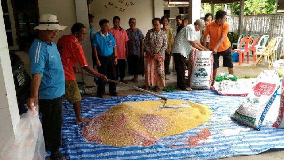 จัด3.6พันล้านหนุนผลิต"ปุ๋ยสั่งตัด"