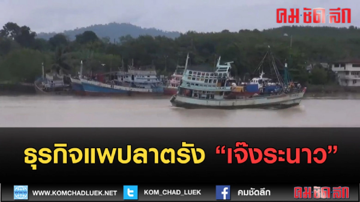 (คลิปข่าว) ธุุรกิจแพปลาจังหวัดตรังเจ๊งระนาว