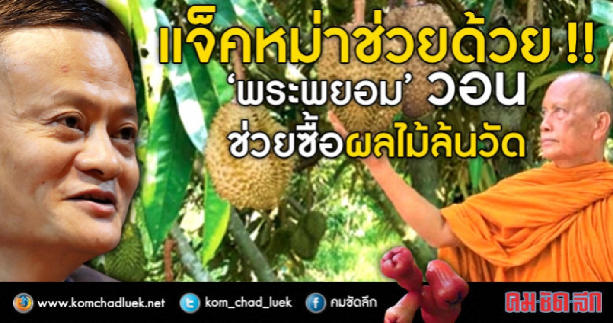 แจ็คหม่าช่วยด้วย !! "พระพยอม" วอนช่วย ผลไม้ล้นวัด แจ็คหม่าช่วยด้วย !! "พระพยอม" วอนช่วย ผลไม้ล้นวัด