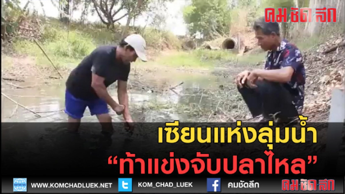 (คลิปข่าว) เซียนแห่งลุ่มน้ำท้าแข่งจับปลาไหล