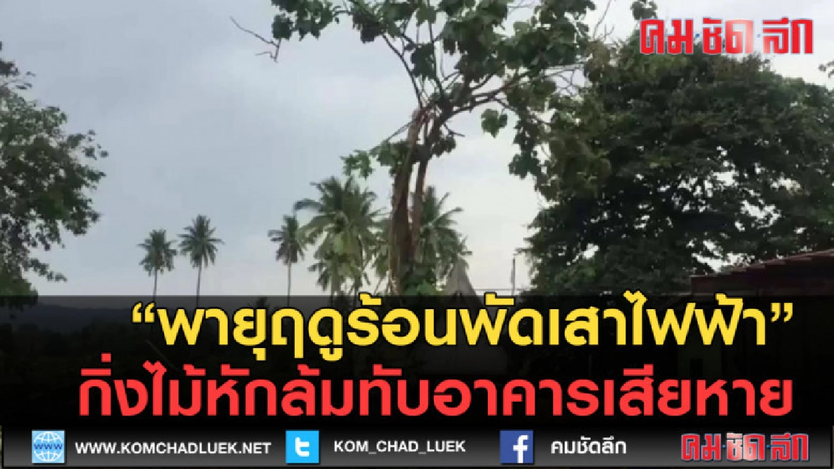 (คลิปข่าว) พายุฤดูร้อนพัดกิ่งไม้หักล้มทับอาคารเสียหาย (คลิปข่าว) พายุฤดูร้อนพัดกิ่งไม้หักล้มทับอาคารเสียหาย