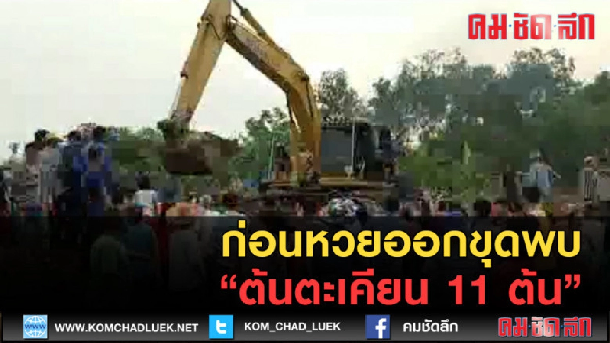 (คลิปข่าว) ก่อนหวยออกขุดพบต้นตะเคียน11 ต้น 