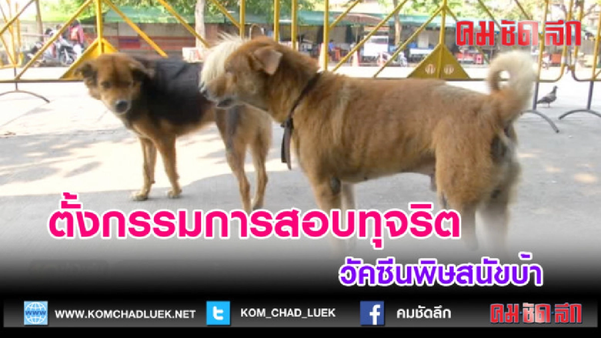 (คลิปข่าว)ตั้งกกรการสอบทุจริตวัคซีนพิษสุนัขบ้า