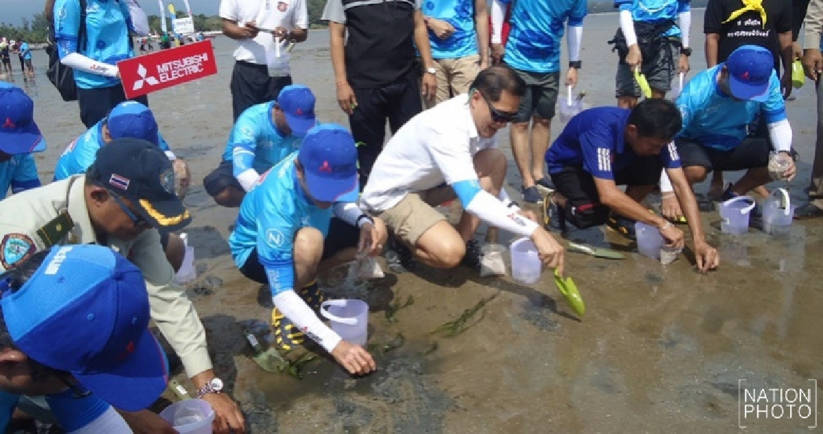 ส่งเสริมเที่ยวเมืองรอง !! ฟื้นทะเลตรัง-อนุรักษ์พะยูน