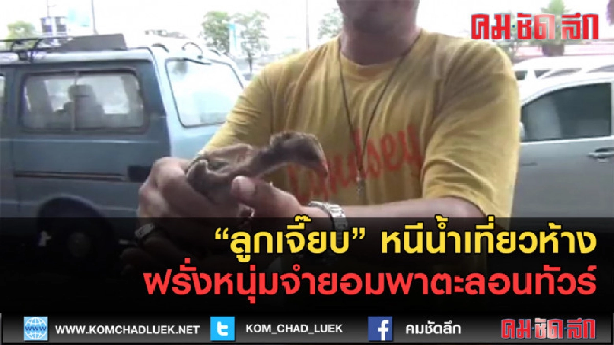 (คลิปข่าว) ลูกเจี๊ยบ หนีน้ำเที่ยวห้าง (คลิปข่าว) ลูกเจี๊ยบ หนีน้ำเที่ยวห้าง