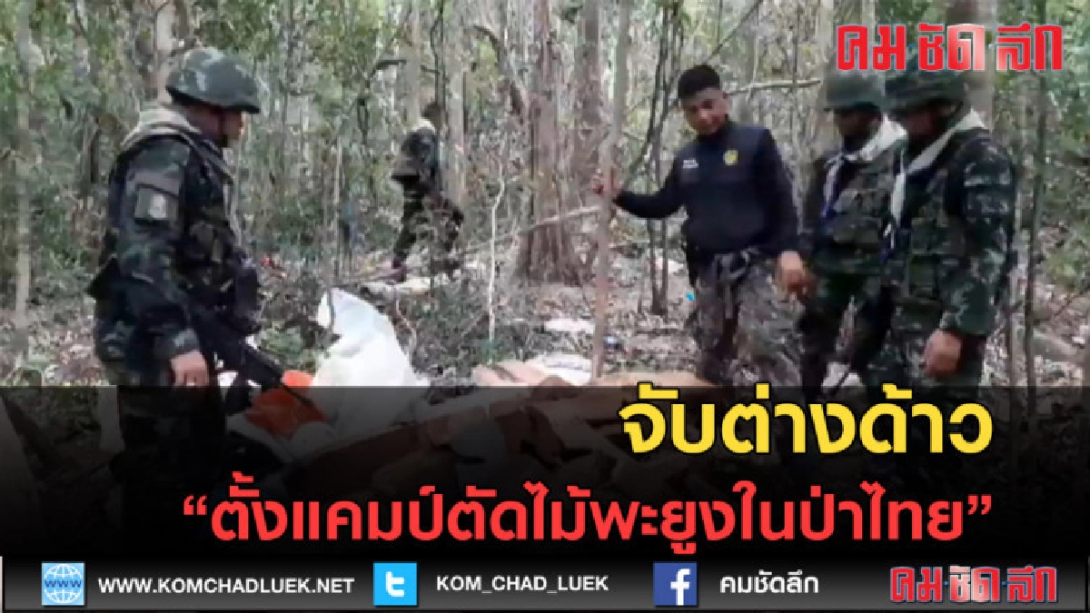 (คลิปข่าว) ต่างด้าว ตั้งแคมป์ตัดไม้พะยูงในป่าไทย 