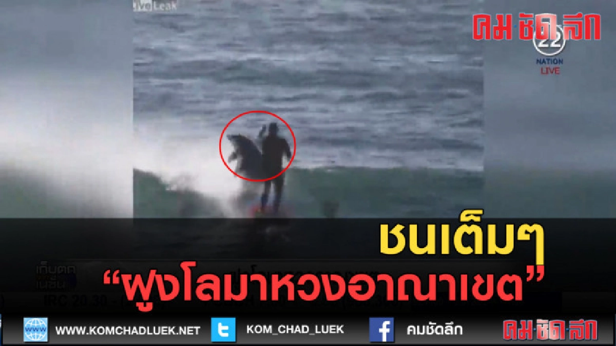 (คลิปข่าว) ฝูงโลมาหวงอาณาเขต