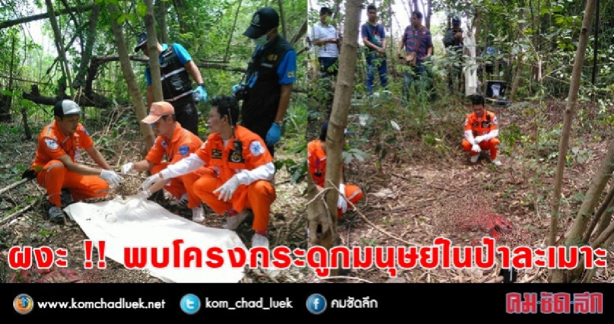 ผงะ !! พบโครงกระดูกมนุษย์ในป่าละเมาะ ผงะ !! พบโครงกระดูกมนุษย์ในป่าละเมาะ
