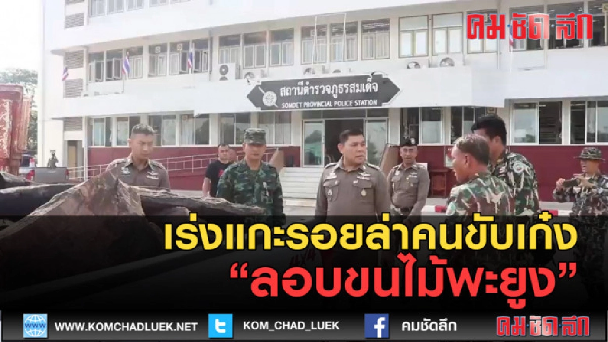 (คลิปข่าว) เร่งแกะรอยล่าคนขับเก๋งลอบขนไม้พะยูง