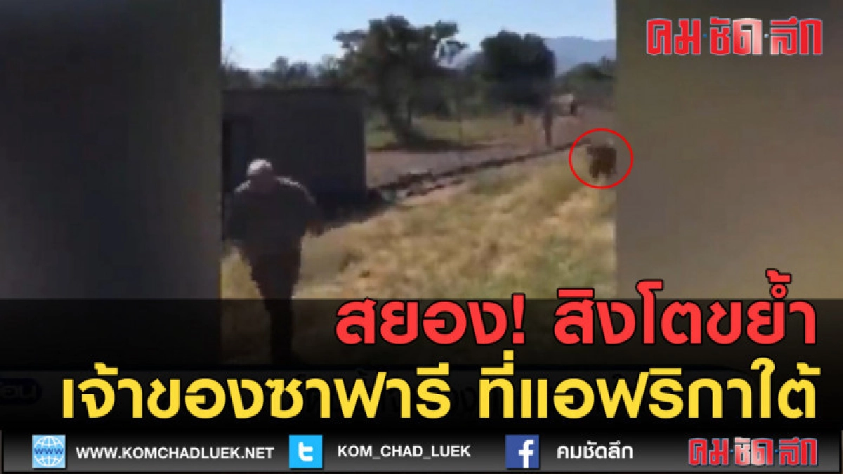 (คลิปข่าว) สยอง! สิงโตขย้ำเจ้าของซาฟารี ที่แอฟริกาใต้ (คลิปข่าว) สยอง! สิงโตขย้ำเจ้าของซาฟารี ที่แอฟริกาใต้