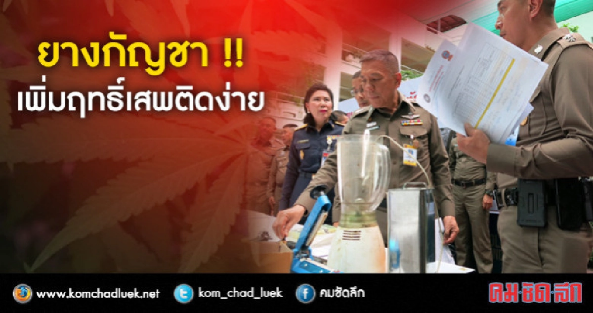พบโจ๋นิยมป้ายยางกัญชากับบุหรี่ก่อนสูบ พบโจ๋นิยมป้ายยางกัญชากับบุหรี่ก่อนสูบ